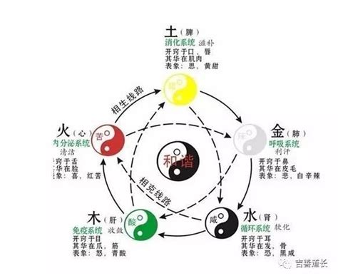 五行缺什麼|八字算命免費測八字，生辰八字五行查詢，測生辰八字五行缺補